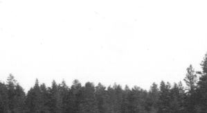 Torrfors